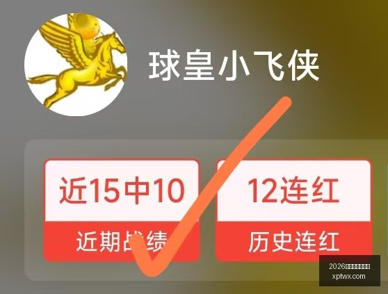 足球分析达,人红姐,帕尔斯巴亚,2026世界杯买球指南,世界杯投注,足球盘口分析,世界杯博彩技巧,2026世界杯赔率