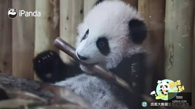 热门游戏,英雄联盟,门票抢购热,乐球直播,乐球直播平台,乐球直播官网,乐球直播app
